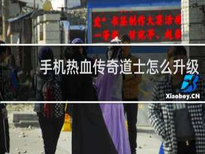 手机热血传奇道士怎么升级