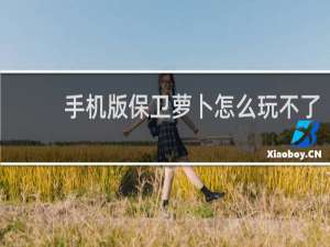 手机版保卫萝卜怎么玩不了