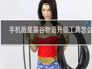 手机版星露谷物语升级工具怎么用