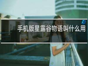 手机版星露谷物语叫什么用