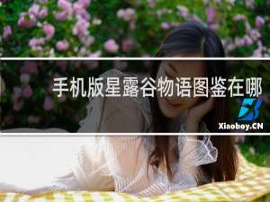手机版星露谷物语图鉴在哪