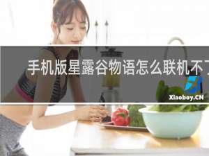 手机版星露谷物语怎么联机不了