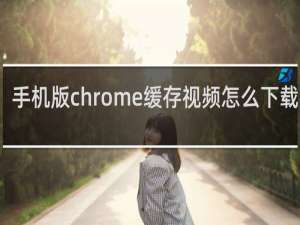 手机版chrome缓存视频怎么下载视频