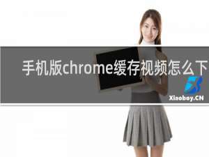 手机版chrome缓存视频怎么下载