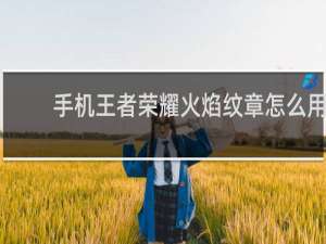 手机王者荣耀火焰纹章怎么用
