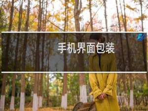 手机界面包装