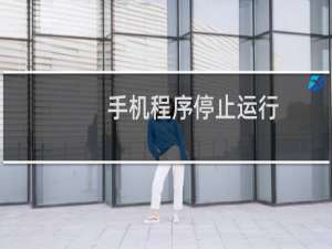 手机程序停止运行