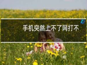 手机突然上不了网打不了电话（为什么手机打不了电话显示无网络）