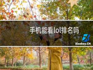 手机能看lol排名吗