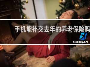 手机能补交去年的养老保险吗