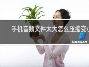 手机音频文件太大怎么压缩变小