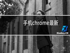 手机chrome最新