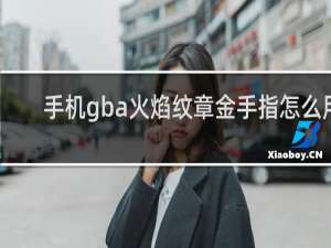 手机gba火焰纹章金手指怎么用