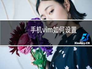 手机vim如何设置