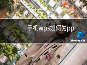 手机wps如何为ppt添加文本框