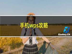 手机wps攻略