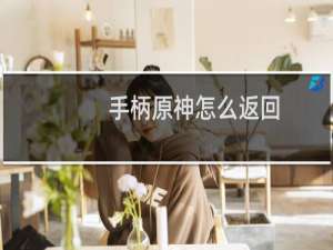 手柄原神怎么返回