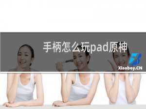手柄怎么玩pad原神
