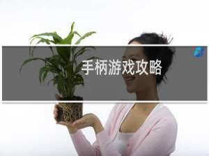 手柄游戏攻略