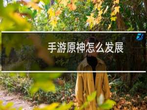 手游原神怎么发展