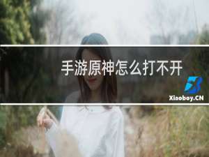 手游原神怎么打不开