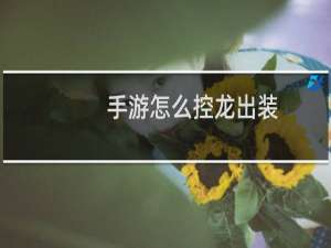 手游怎么控龙出装