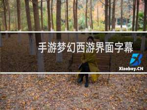 手游梦幻西游界面字幕