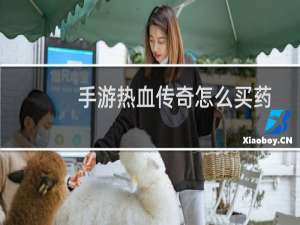 手游热血传奇怎么买药