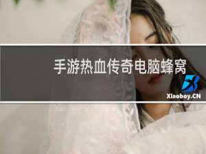 手游热血传奇电脑蜂窝