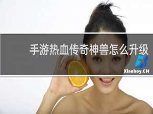 手游热血传奇神兽怎么升级