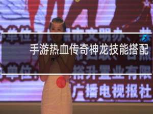 手游热血传奇神龙技能搭配