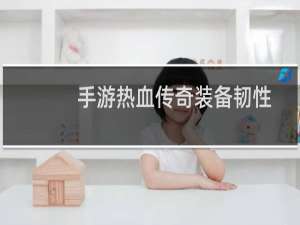 手游热血传奇装备韧性