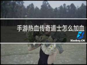 手游热血传奇道士怎么加血
