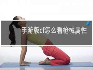 手游版cf怎么看枪械属性