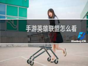 手游英雄联盟怎么看