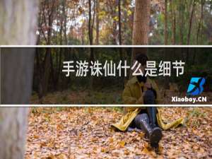 手游诛仙什么是细节