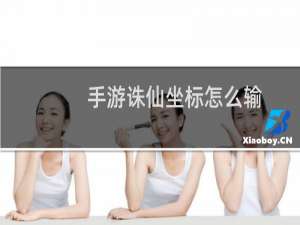 手游诛仙坐标怎么输