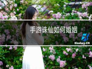 手游诛仙如何婚姻