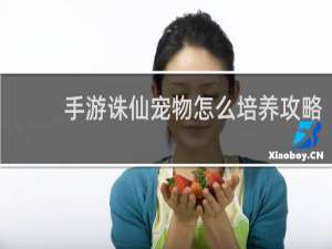 手游诛仙宠物怎么培养攻略