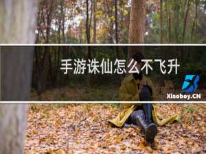 手游诛仙怎么不飞升