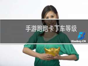 手游跑跑卡丁车等级