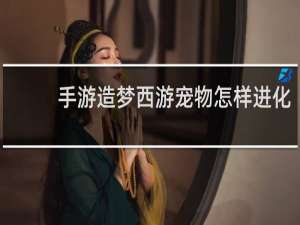 手游造梦西游宠物怎样进化