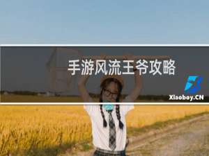 手游风流王爷攻略