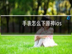 手表怎么下原神ios