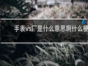 手表vs厂是什么意思啊什么梗