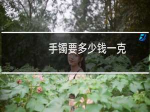 手镯要多少钱一克