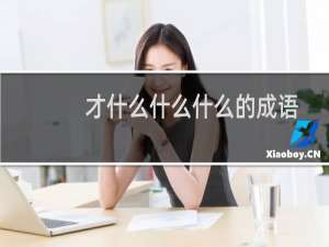 才什么什么什么的成语