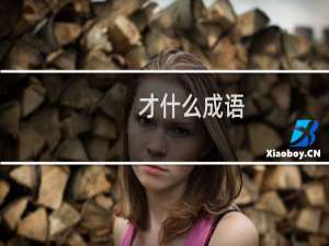 才什么成语