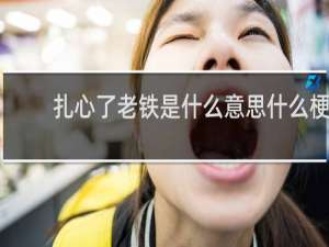 扎心了老铁是什么意思什么梗