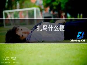 扎鸟什么梗